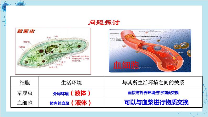 人教版高中生物选择性必修第一册·第1章- 第1节 细胞生活的环境（课件PPT）06
