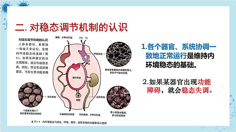 人教版高中生物选择性必修第一册·第1章- 第2节 内环境的稳态（课件PPT）第6页