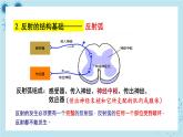 人教版高中生物选择性必修第一册·第2章- 第2节 神经调节的基本方式（课件PPT）