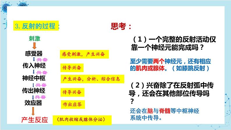 人教版高中生物选择性必修第一册·第2章- 第2节 神经调节的基本方式（课件PPT）06