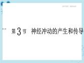 人教版高中生物选择性必修第一册·第2章- 第3节 神经冲动的产生和传导（课件PPT）
