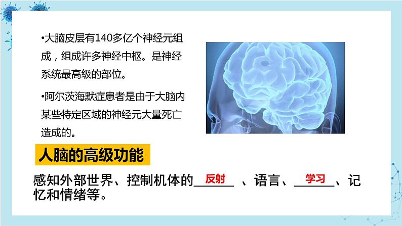 人教版高中生物选择性必修第一册·第2章- 第5节 人脑的高级功能（课件PPT）04