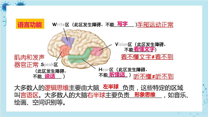 人教版高中生物选择性必修第一册·第2章- 第5节 人脑的高级功能（课件PPT）05