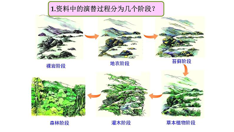 人教版高中生物选择性必修第二册·第2章- 第3节 群落的演替（课件PPT）第8页