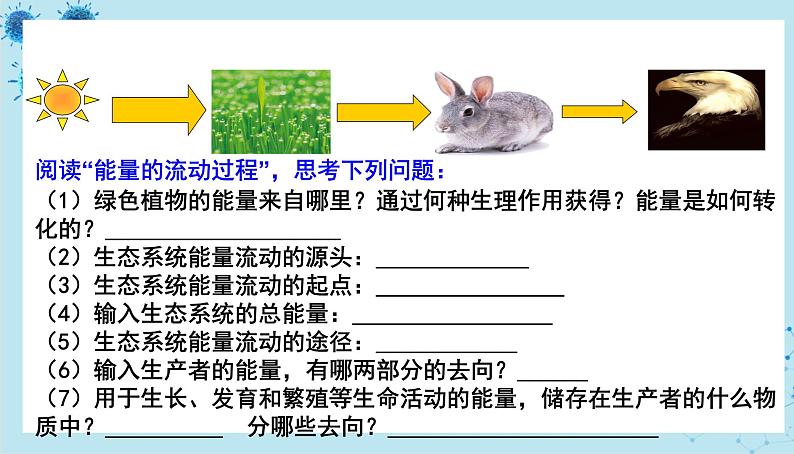 人教版高中生物选择性必修第二册·第3章- 第2节 生态系统的结构（课件PPT）第4页