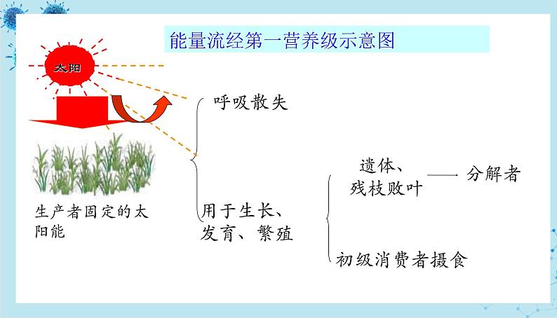 人教版高中生物选择性必修第二册·第3章- 第2节 生态系统的结构（课件PPT）第6页