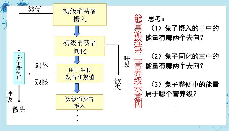 人教版高中生物选择性必修第二册·第3章- 第2节 生态系统的结构（课件PPT）第7页