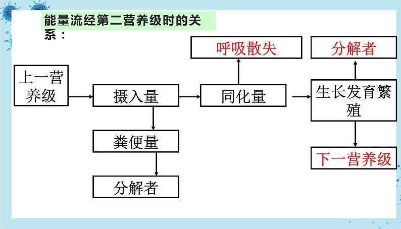 人教版高中生物选择性必修第二册·第3章- 第2节 生态系统的结构（课件PPT）第8页