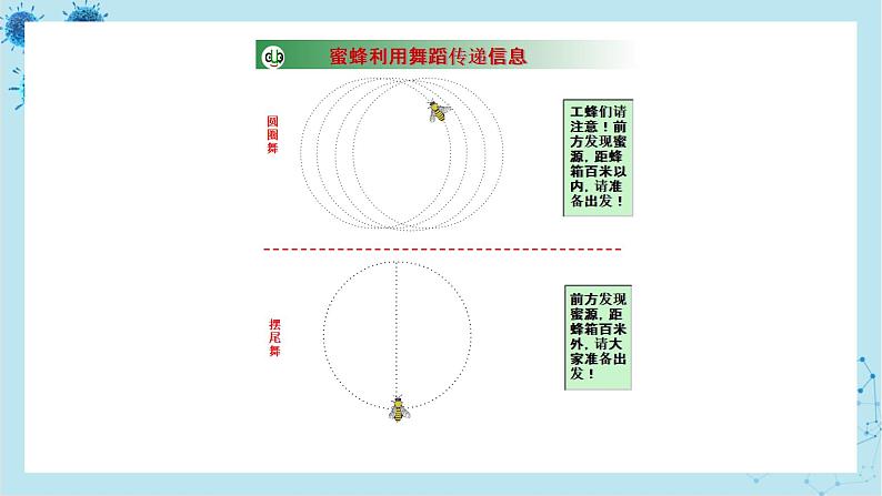 人教版高中生物选择性必修第二册·第3章- 第4节 生态系统的物质循环（课件PPT）第5页