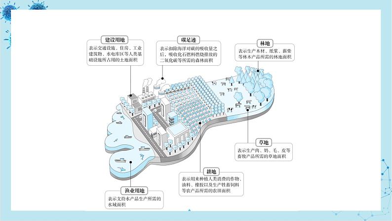 人教版高中生物选择性必修第二册·第4章- 第1节 人类活动对生态环境的影响（课件PPT）第5页