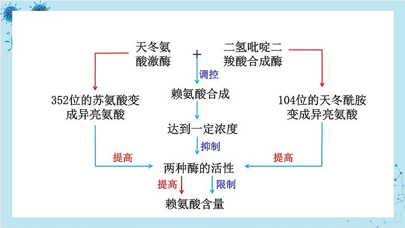 人教版高中生物选择性必修第三册·第3章- 第4节 蛋白质工程的原理和应用（课件PPT）07