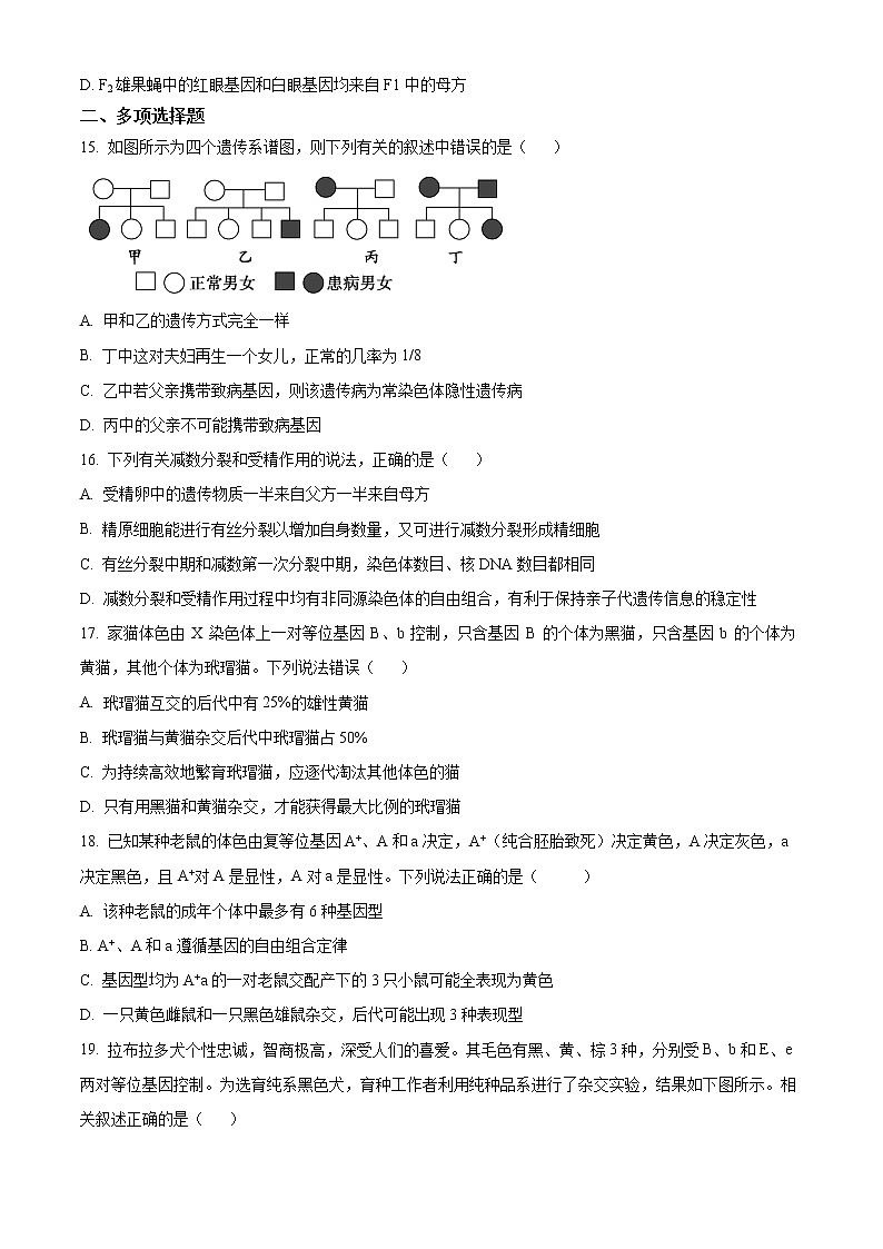 2023宿迁泗阳县实验高级中学高一下学期第一次质量调研生物试题含解析03