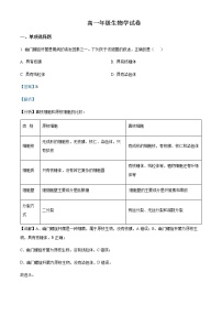 2022-2023学年广西南宁市高一上学期期末生物试题含解析