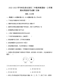 2022-2023学年河北省石家庄二中教育集团高一上学期期末四校联考试题生物含答案