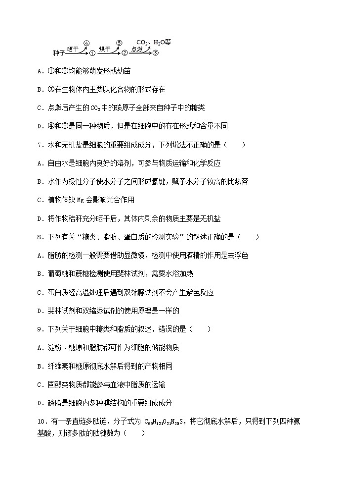 2022-2023学年河北省石家庄二中教育集团高一上学期期末四校联考试题生物含答案第3页