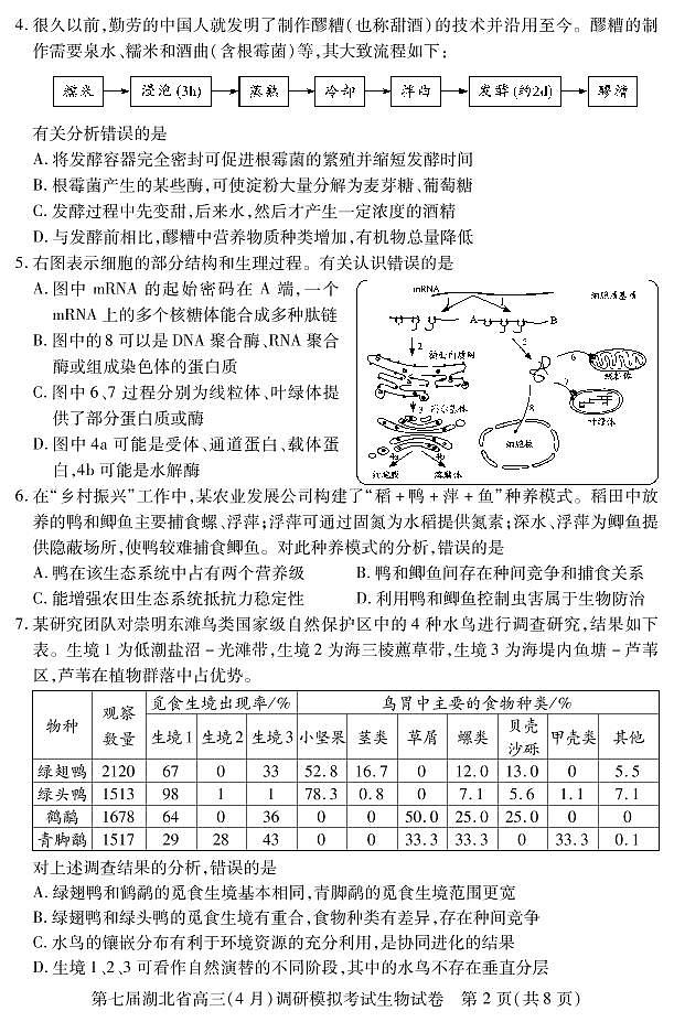 2022届湖北省高三（4月）调研模拟考试生物试题第2页