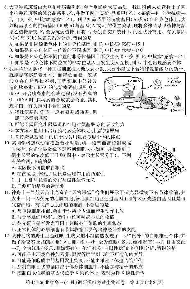 2022届湖北省高三（4月）调研模拟考试生物试题第3页