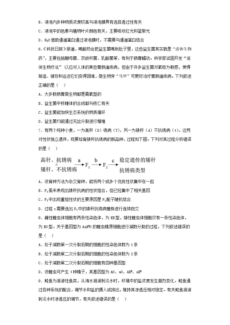 2022-2023学年广东省高三第二次模拟生考试物试卷（含解析）第2页