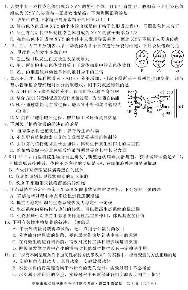 2019-2020学年湖北省孝感市重点高中协作体高二下学期联考生物试题 PDF版02