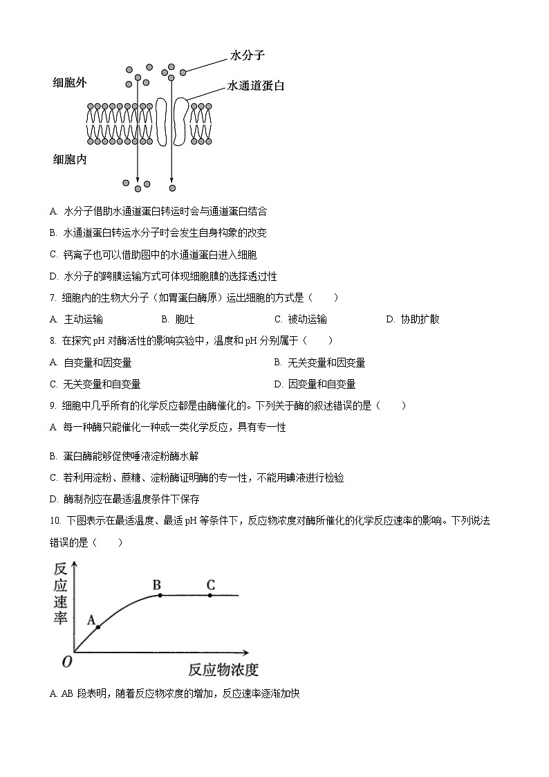 2023太原高一上学期期末生物试题含解析02