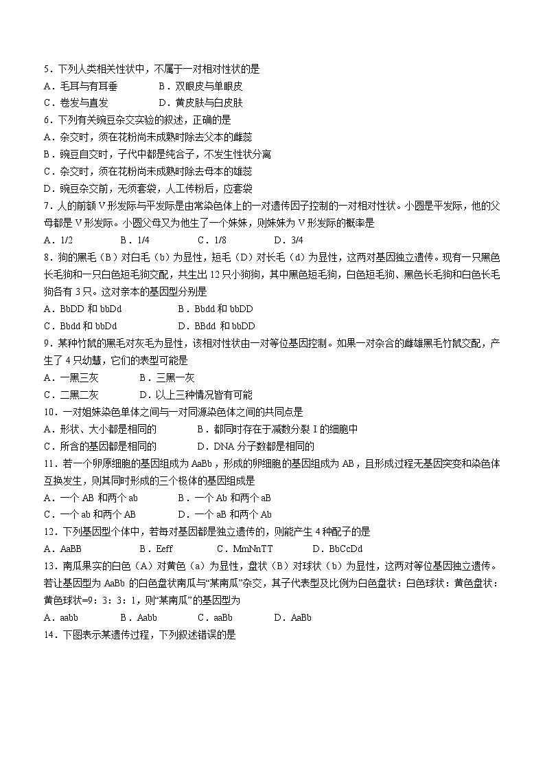 2023西安高一下学期3月阶段检测试题生物含答案第2页