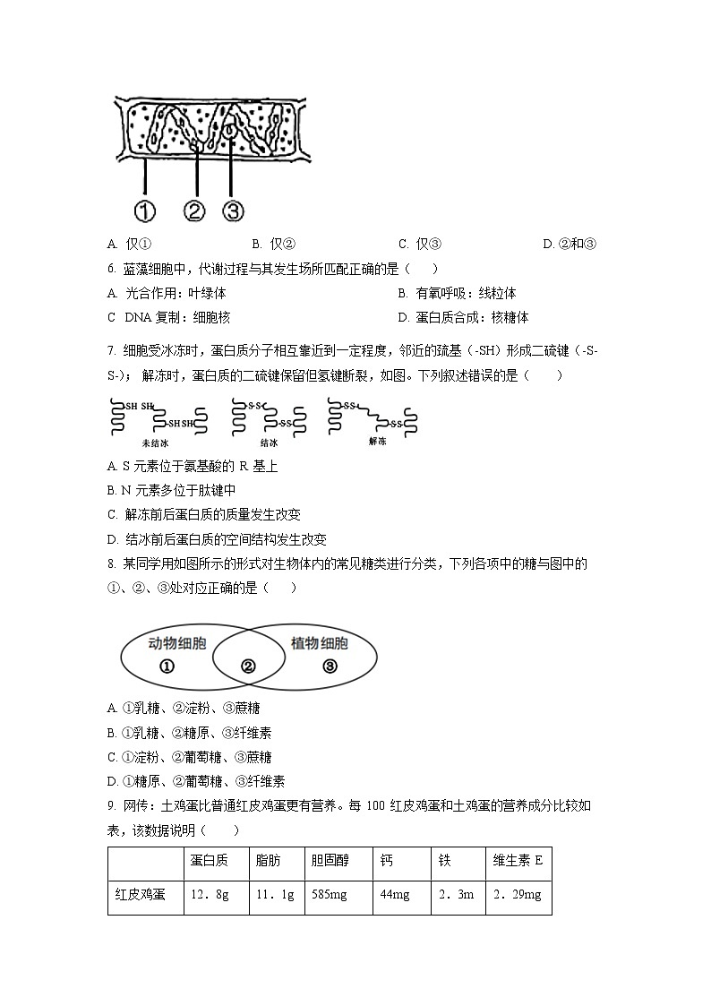 上海市七宝中学2021-2022学年高一下学期开学摸底测试生物试题无答案第2页