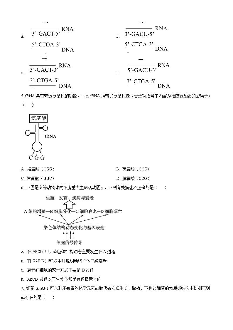 上海市七宝中学2021-2022学年高一下学期5月月考生物试题无答案第2页