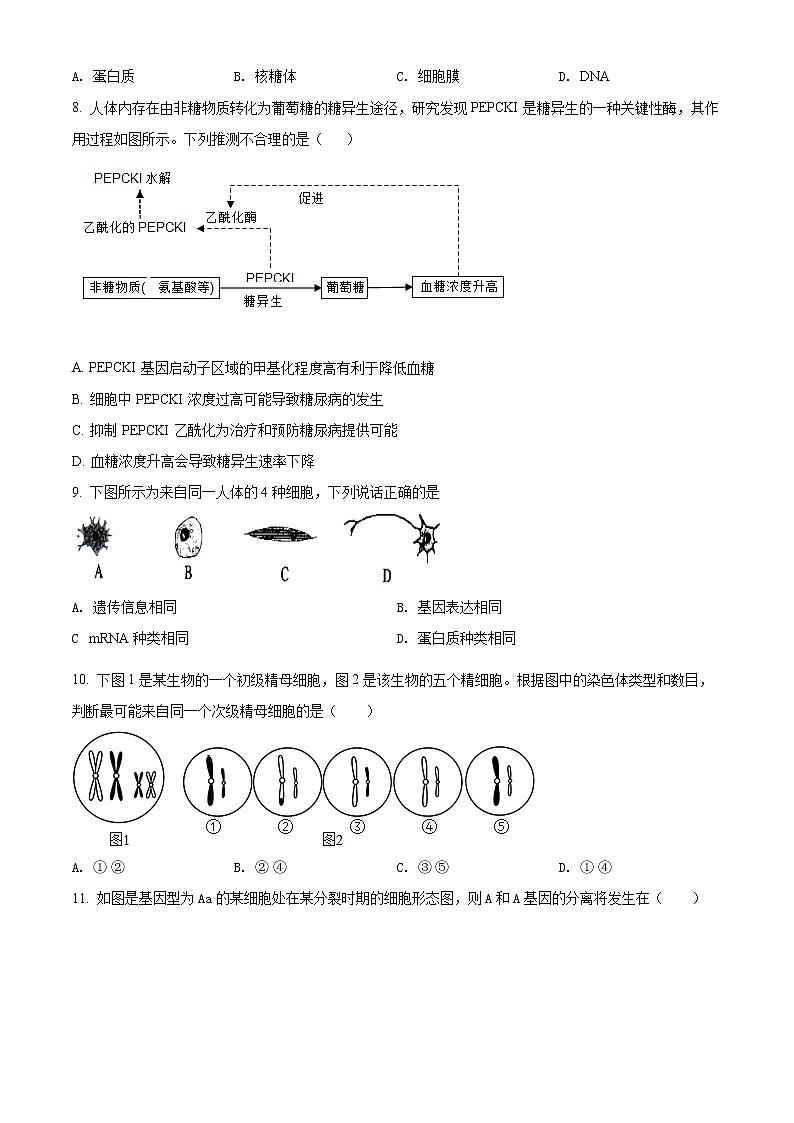 上海市七宝中学2021-2022学年高一下学期5月月考生物试题无答案第3页