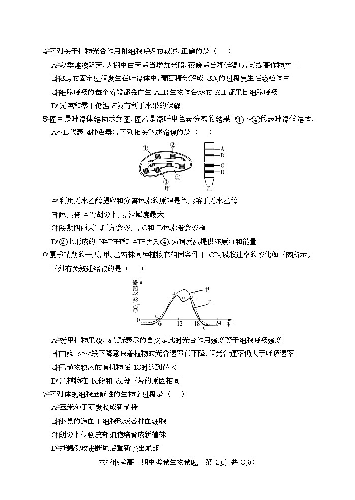 2023宜城一中、枣阳一中等六校高一下学期期中联考生物试题含答案02