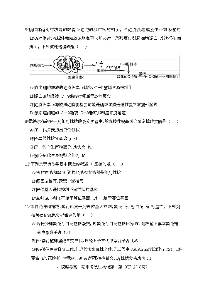 2023宜城一中、枣阳一中等六校高一下学期期中联考生物试题含答案03