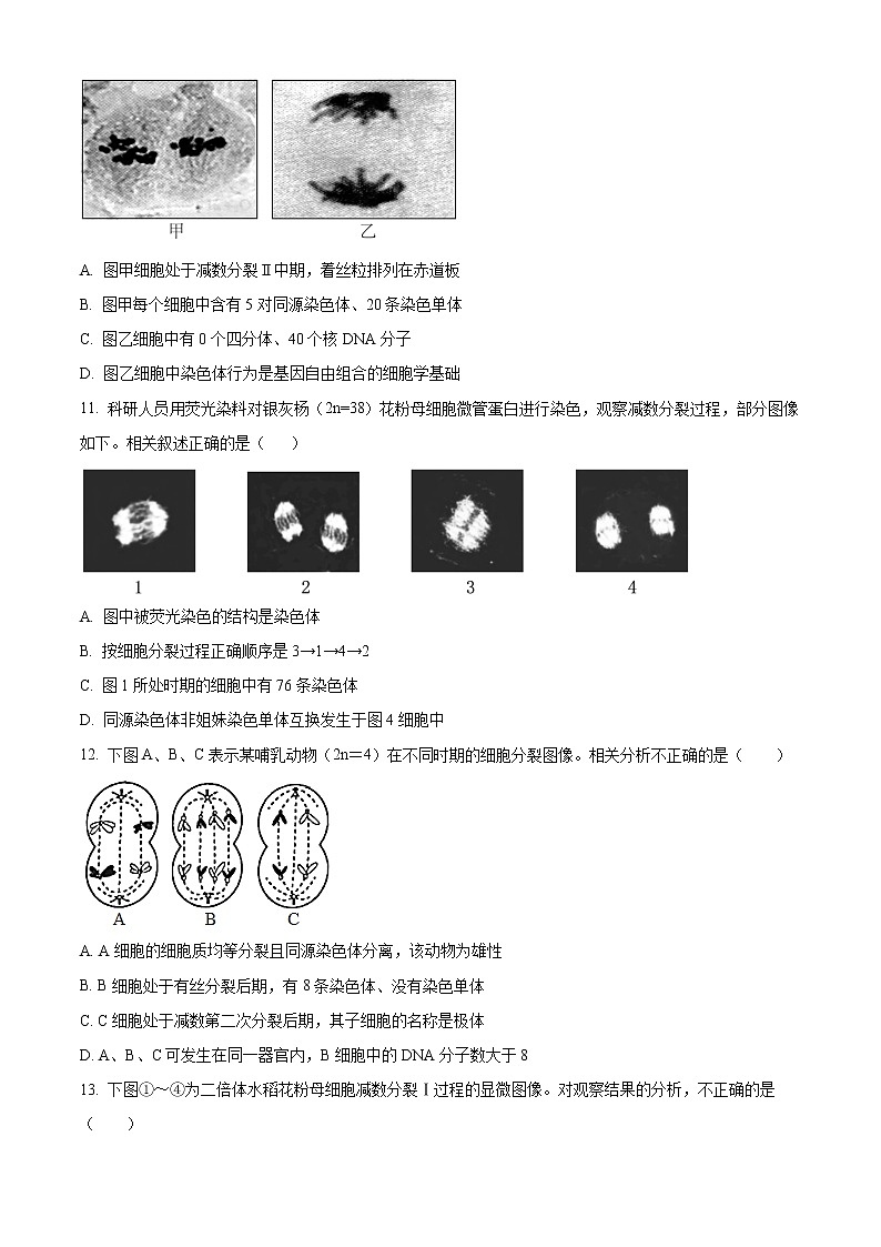 2023镇江中学高一下学期3月检测生物试题含答案第3页
