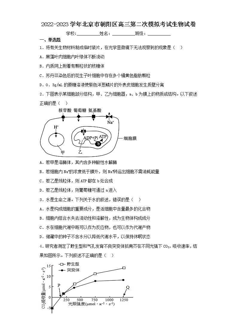 2022-2023学年北京市朝阳区高三第二次模拟考试生物试卷（含解析）01