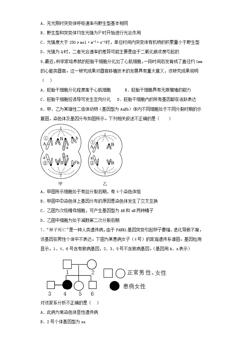 2022-2023学年北京市朝阳区高三第二次模拟考试生物试卷（含解析）02