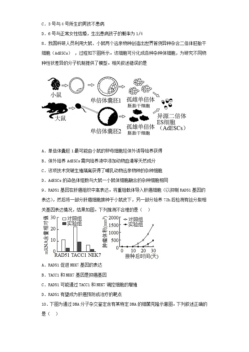 2022-2023学年北京市朝阳区高三第二次模拟考试生物试卷（含解析）03