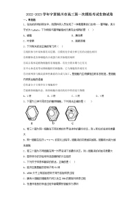 2022-2023学年宁夏银川市高三第一次模拟考试生物试卷（含解析）