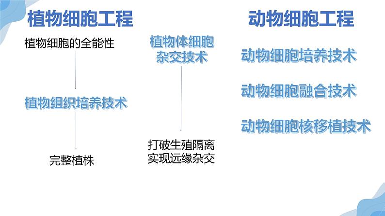 动物细胞工程课件PPT02