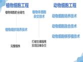 动物细胞工程课件PPT