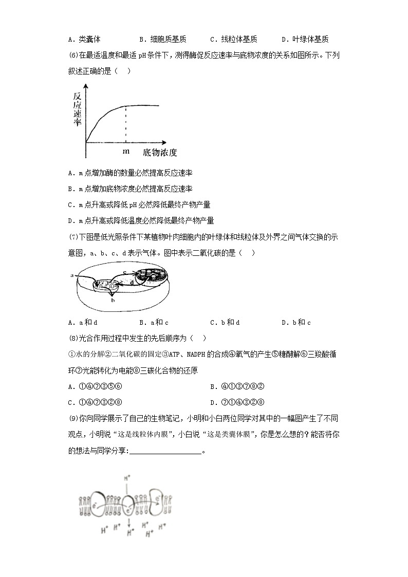 2022-2023学年上海市黄埔区高三一模生物试卷（含解析）第2页