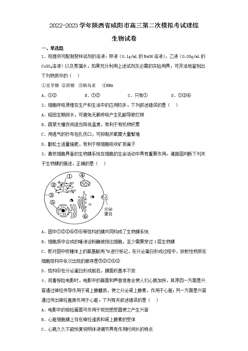 2022-2023学年陕西省咸阳市高三第二次模拟考试理综生物试卷（含解析）01
