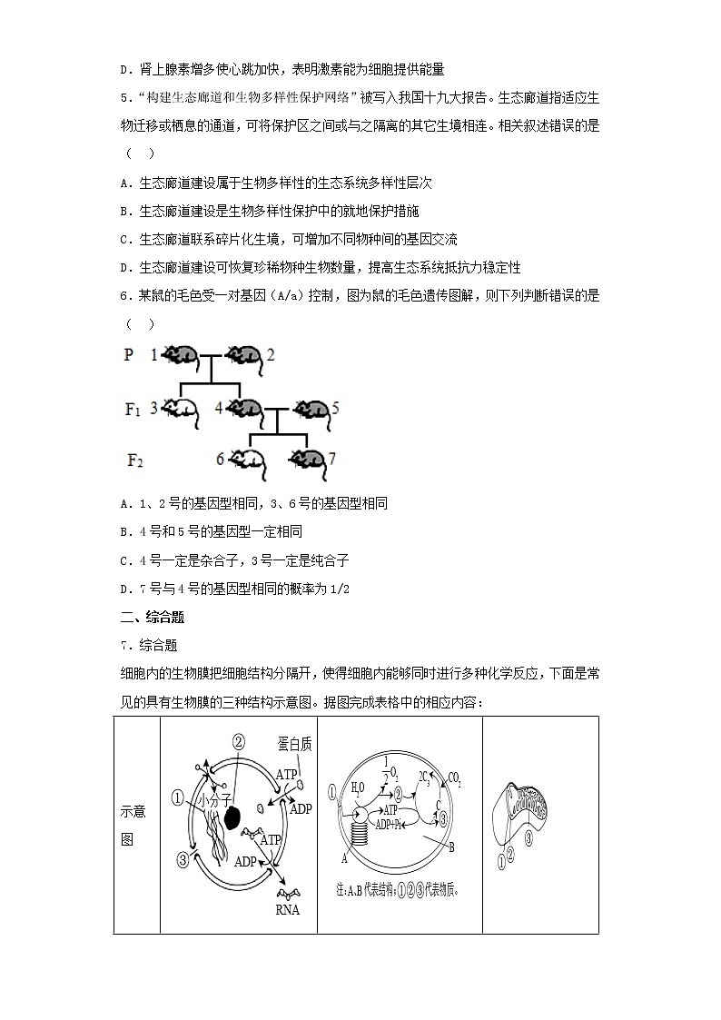 2022-2023学年陕西省咸阳市高三第二次模拟考试理综生物试卷（含解析）02