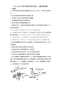 2022-2023学年天津市和平区高三一模生物试卷（含解析）