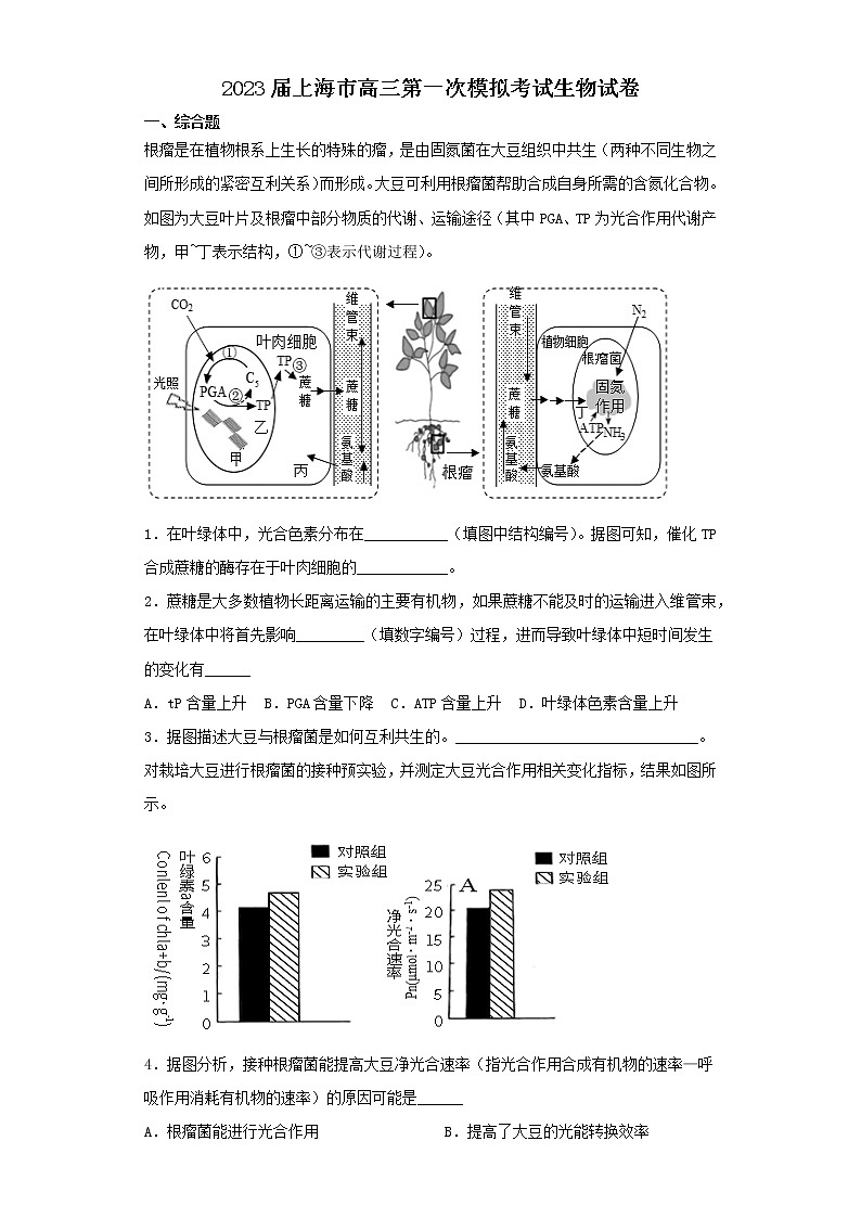 2023届上海市高三第一次模拟考试生物试卷（含解析）第1页