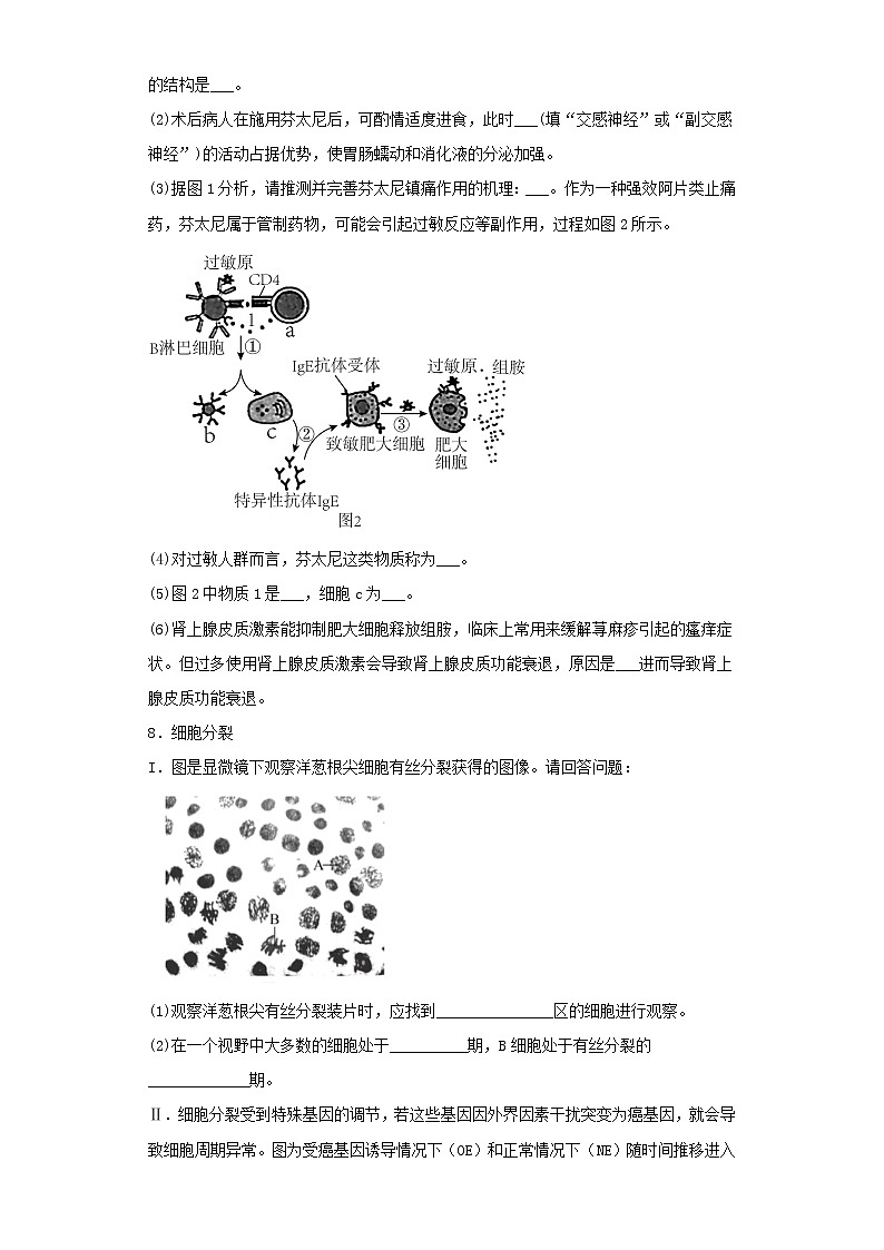 2023届上海市高三第一次模拟考试生物试卷（含解析）第3页