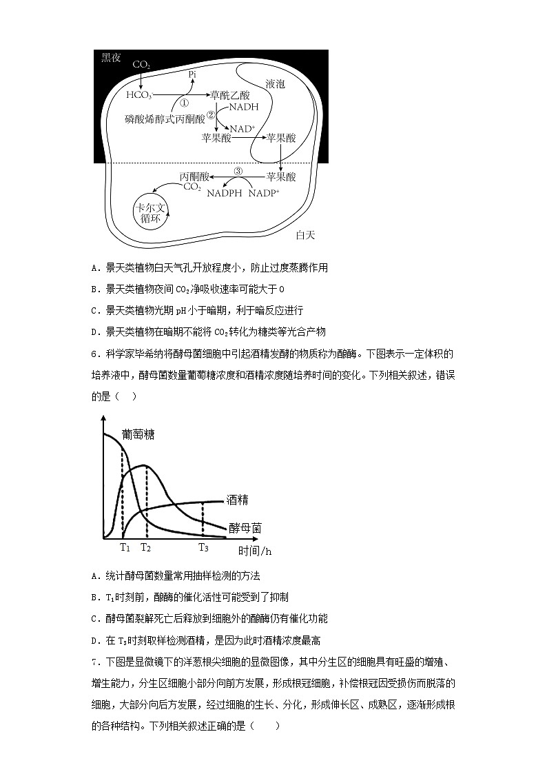 辽宁省鞍山市2022-2023学年高三上学期第二次模拟考试生物试卷（含解析）第2页