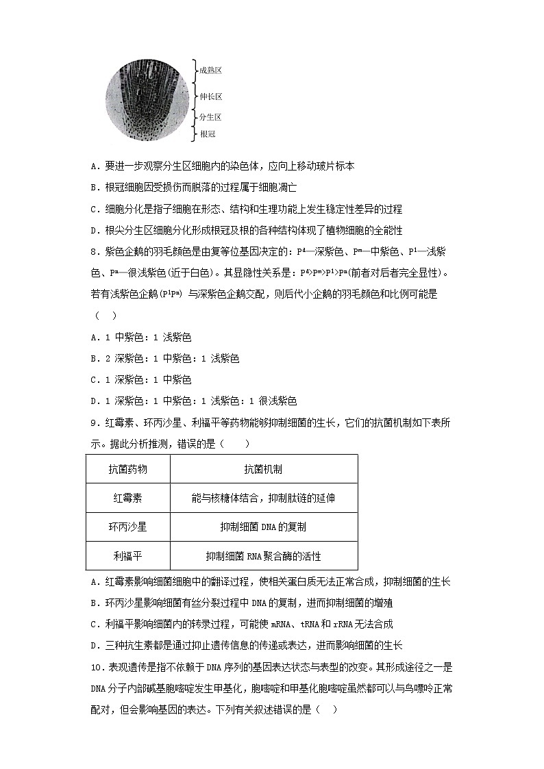 辽宁省鞍山市2022-2023学年高三上学期第二次模拟考试生物试卷（含解析）第3页