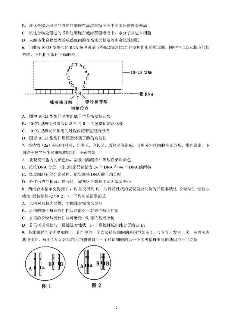 2023届甘肃省白银市靖远县高三上学期开学检测生物试题PDF版含答案02