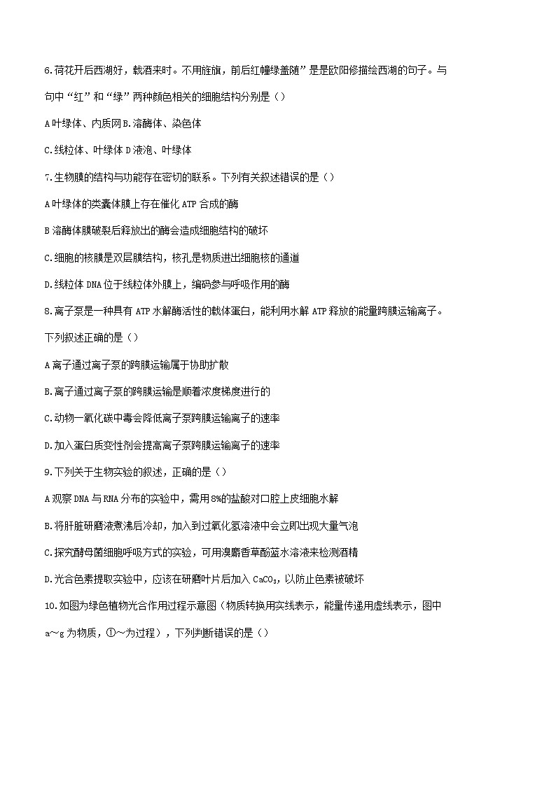 2023届甘肃省张掖市高三上学期第一次诊断考试（月考）生物试题含答案02