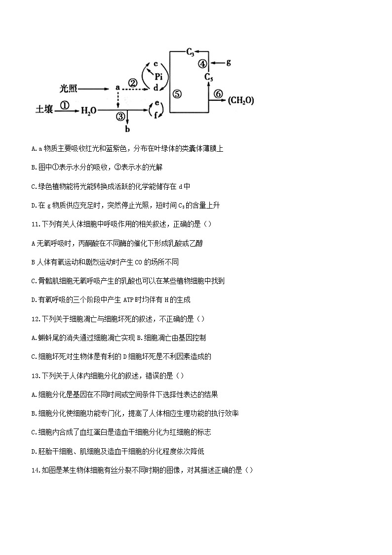 2023届甘肃省张掖市高三上学期第一次诊断考试（月考）生物试题含答案03