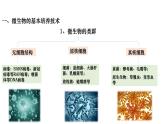 人教版高中生物选择性必修3 1-2-1微生物的基本培养技术课件