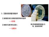 人教版高中生物选择性必修3 1-2-1微生物的基本培养技术课件
